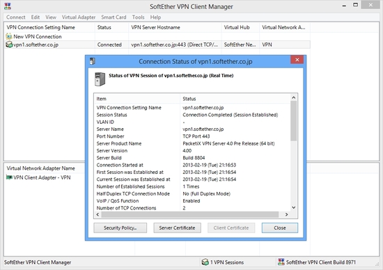 ss1.0_vpnclient.jpg