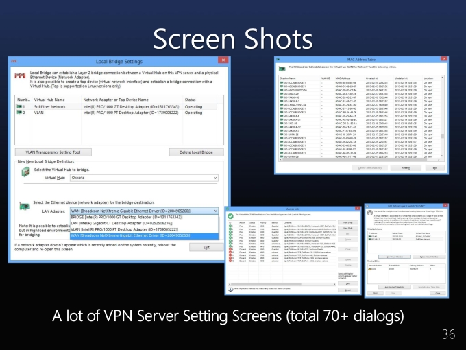 SoftEtherVPN_Page_36.jpg